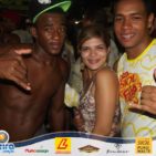 Bloco Skol Folia